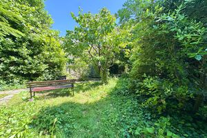 Side / Front Garden- click for photo gallery